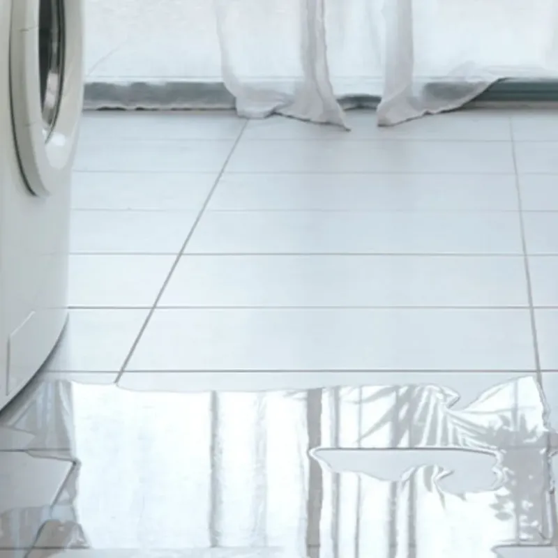 Appliance Leak Cleanup in Cameron, MO