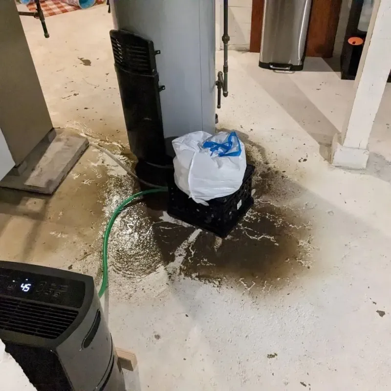Sewage Backup Cleanup Service in Cameron, MO